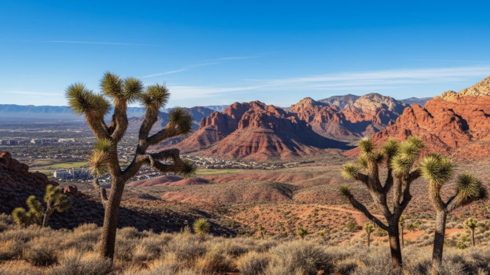 Is Summerlin NV Good for Young Professionals in 2026?
